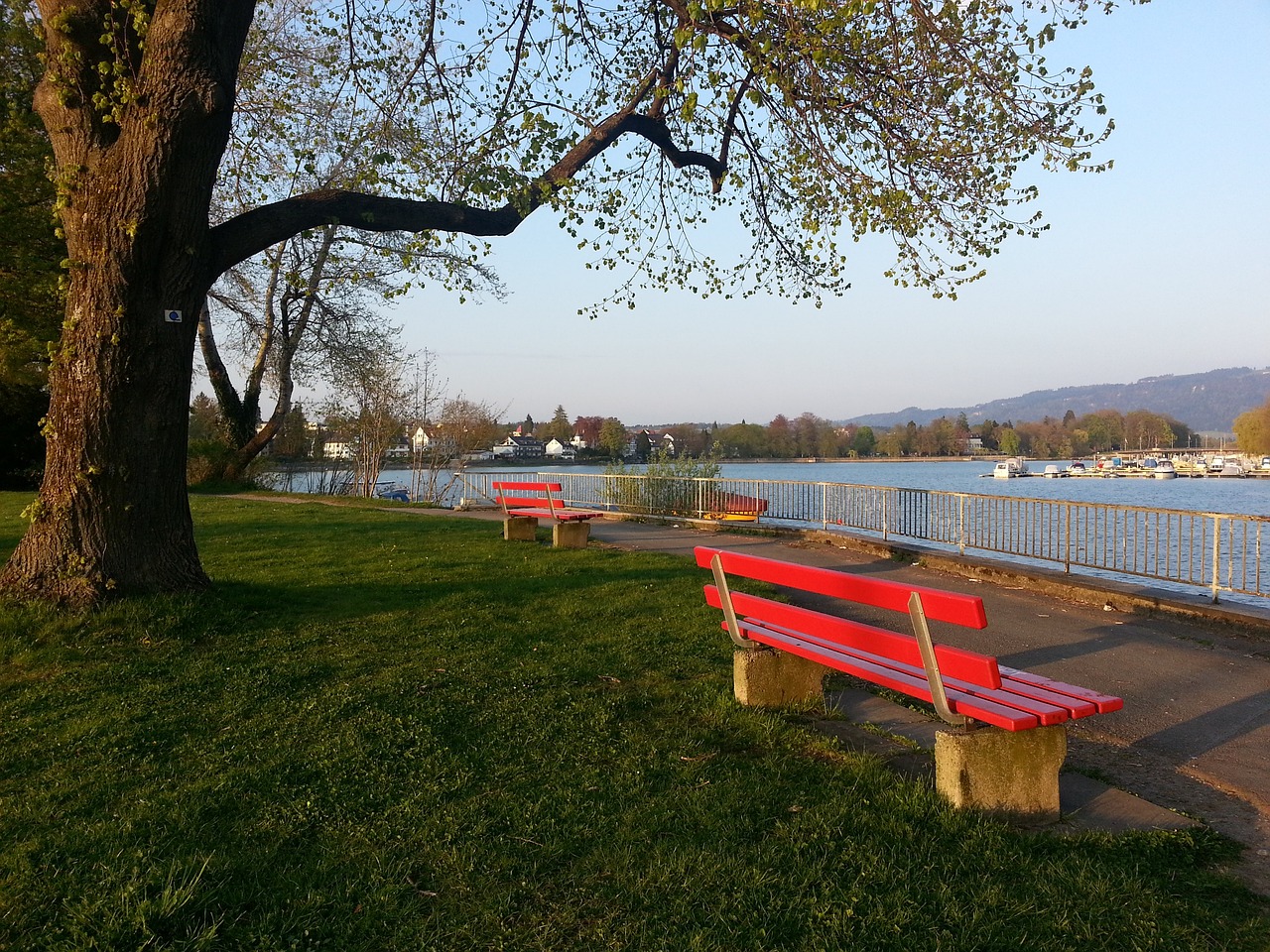 轻高手也正 轻高手也正