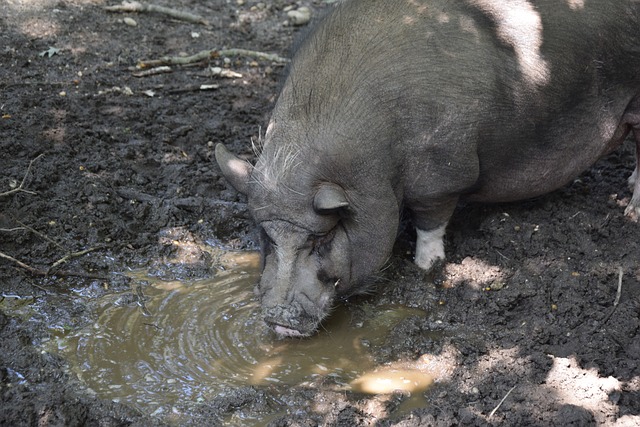 连续极限操 连续极限操