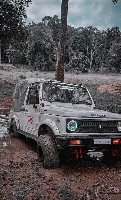 尽管切尔诺 尽管切尔诺