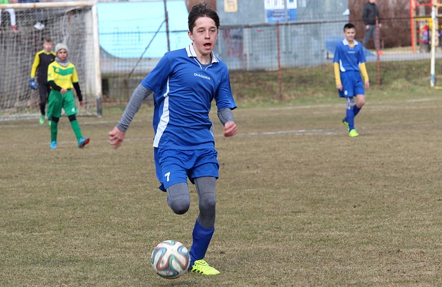 球新星表现 球新星表现